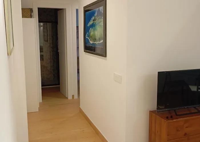 Grazioso E Moderno Nuovo *